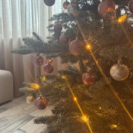 Aan De Plenkert בית נופש *