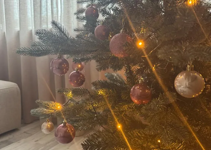 Aan De Plenkert Dom wakacyjny *