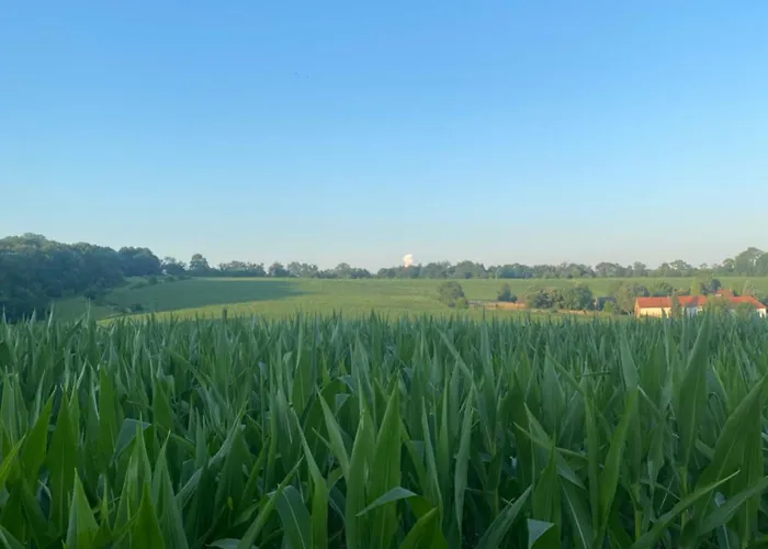 Aan De Plenkert Holiday home